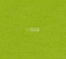 Ковровая плитка Interface Polichrome Solid 4266016 Daiquiri фото 1 | FLOORDEALER